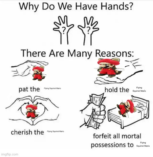 Why do we have hands? (all blank) | Flying Squirrel Mario; Flying Squirrel Mario; Flying Squirrel Mario; Flying Squirrel Mario | image tagged in why do we have hands all blank | made w/ Imgflip meme maker