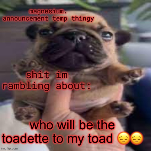 pug temp | who will be the toadette to my toad 😔😔 | image tagged in pug temp | made w/ Imgflip meme maker