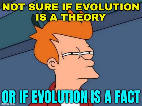 Not Sure If Evolution Is A Theory; Or If Evolution Is A Fact | NOT SURE IF EVOLUTION
IS A THEORY; OR IF EVOLUTION IS A FACT | image tagged in memes,futurama fry,evolution,charles darwin,science,anti-religion | made w/ Imgflip meme maker