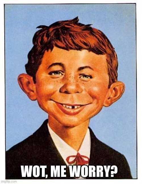 Alfred E. Neuman | WOT, ME WORRY? | image tagged in alfred e neuman | made w/ Imgflip meme maker