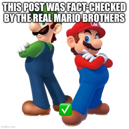 THIS POST WAS FACT-CHECKED BY THE REAL MARIO BROTHERS ✅ | made w/ Imgflip meme maker