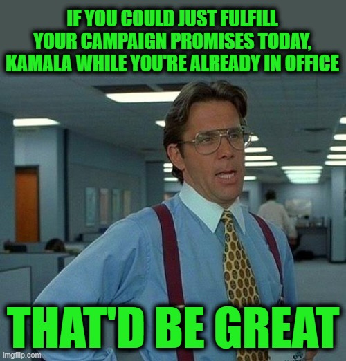 No Promise Needed, Just Do It, Please | IF YOU COULD JUST FULFILL YOUR CAMPAIGN PROMISES TODAY, KAMALA WHILE YOU'RE ALREADY IN OFFICE; THAT'D BE GREAT | image tagged in memes,that would be great | made w/ Imgflip meme maker