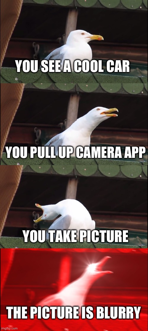 Inhaling Seagull Meme | YOU SEE A COOL CAR; YOU PULL UP CAMERA APP; YOU TAKE PICTURE; THE PICTURE IS BLURRY | image tagged in memes,inhaling seagull | made w/ Imgflip meme maker