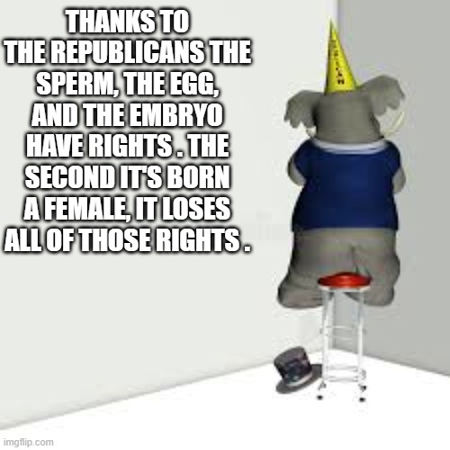 memes by Brad - Eggs, sperm, and embryos have rights until they are born female | THANKS TO THE REPUBLICANS THE SPERM, THE EGG, AND THE EMBRYO HAVE RIGHTS . THE SECOND IT'S BORN A FEMALE, IT LOSES ALL OF THOSE RIGHTS . | image tagged in fun,political,birth,human rights,baby,republicans | made w/ Imgflip meme maker