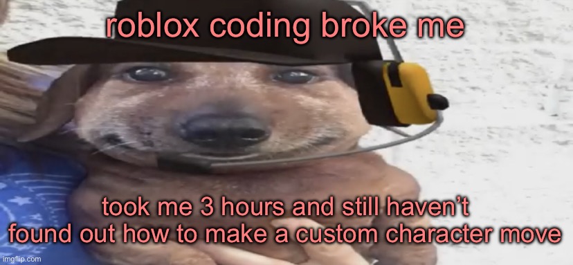 chucklenuts | roblox coding broke me; took me 3 hours and still haven’t found out how to make a custom character move | image tagged in chucklenuts | made w/ Imgflip meme maker