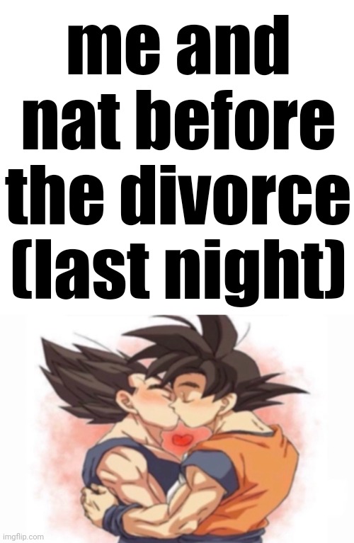 very obviously satire | me and nat before the divorce (last night) | image tagged in blank white template | made w/ Imgflip meme maker