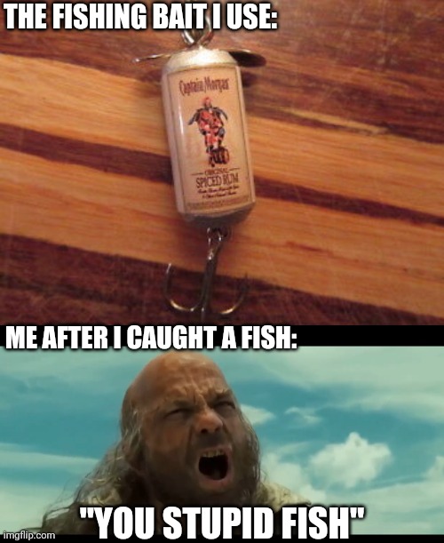 FISH WILL GO AFTER ANYTHING THAT MOVES | THE FISHING BAIT I USE:; ME AFTER I CAUGHT A FISH:; "YOU STUPID FISH" | image tagged in fishing,pirates of the caribbean,fish,rum | made w/ Imgflip meme maker