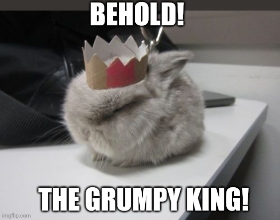 NOT A HAPPY BUNNY | BEHOLD! THE GRUMPY KING! | image tagged in bunny,rabbit | made w/ Imgflip meme maker