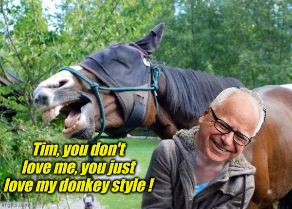 Laughing Horse | Tim, you don't love me, you just love my donkey style ! | image tagged in laughing horse | made w/ Imgflip meme maker