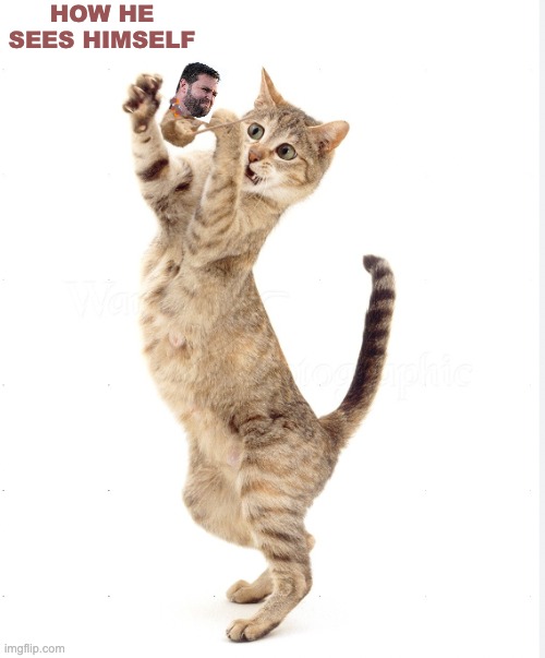 Your phobias explain you | HOW HE
SEES HIMSELF | image tagged in cat playing with mouse,jd vance,cats,women,gop,misogyny | made w/ Imgflip meme maker