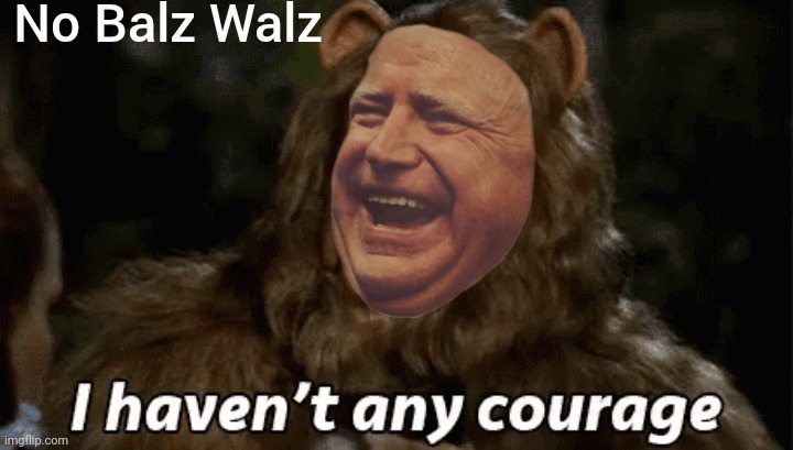 No balz walz | image tagged in politics | made w/ Imgflip meme maker