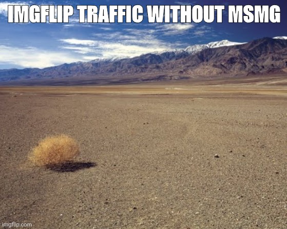 desert tumbleweed | IMGFLIP TRAFFIC WITHOUT MSMG | image tagged in desert tumbleweed | made w/ Imgflip meme maker