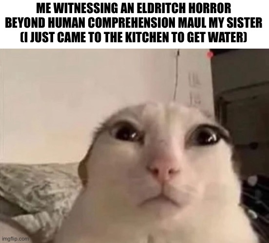 ME WITNESSING AN ELDRITCH HORROR BEYOND HUMAN COMPREHENSION MAUL MY SISTER
(I JUST CAME TO THE KITCHEN TO GET WATER) | image tagged in meme | made w/ Imgflip meme maker