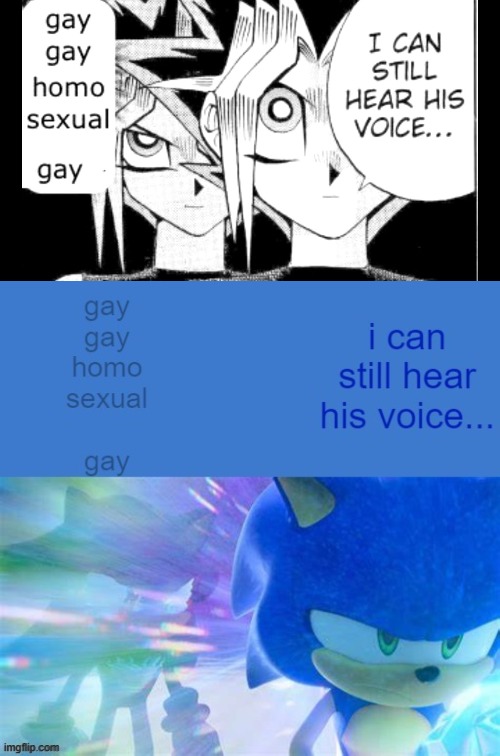 got this screenshot from prime idk | image tagged in sonic the hedgehog,shadow the hedgehog,gay gay homosexual gay | made w/ Imgflip meme maker