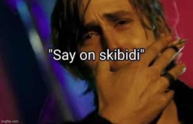 You do? | image tagged in say on skibidi | made w/ Imgflip meme maker