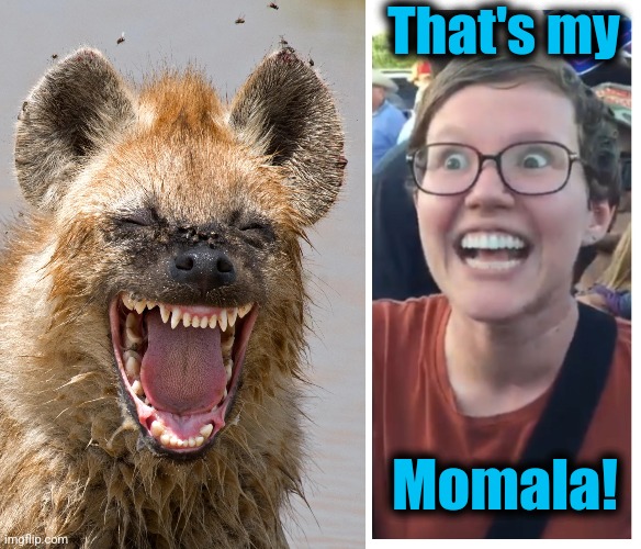 The latest moonbat insanity | That's my; Momala! | image tagged in social justice warrior hypocrisy,kamala harris,memes,democrats,diversity hyena,momala | made w/ Imgflip meme maker