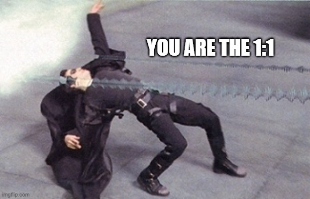 You are the 1:1 | YOU ARE THE 1:1 | image tagged in neo dodging a bullet matrix,dtfx,risk to reward,the glitch,moneymakersetup,one to one | made w/ Imgflip meme maker