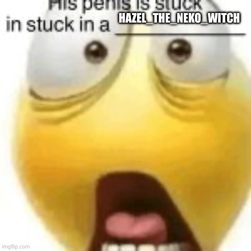 His penis | HAZEL_THE_NEKO_WITCH | image tagged in his penis | made w/ Imgflip meme maker