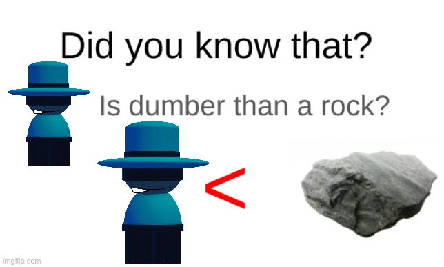 Bambar is stupid | image tagged in did you know that blank is dumber than a rock | made w/ Imgflip meme maker