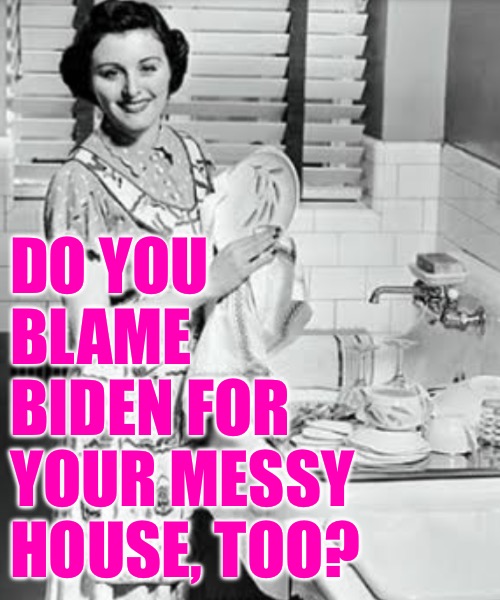 washing dishes | DO YOU BLAME BIDEN FOR YOUR MESSY HOUSE, TOO? | image tagged in washing dishes | made w/ Imgflip meme maker