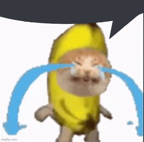 Banana Cat Crying | image tagged in banana cat crying | made w/ Imgflip meme maker