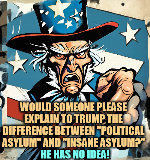 Details, DETAILS! | WOULD SOMEONE PLEASE EXPLAIN TO TRUMP THE DIFFERENCE BETWEEN "POLITICAL ASYLUM" AND "INSANE ASYLUM?"; HE HAS NO IDEA! | image tagged in trump,political,insane,asylum,idiot,fool | made w/ Imgflip meme maker