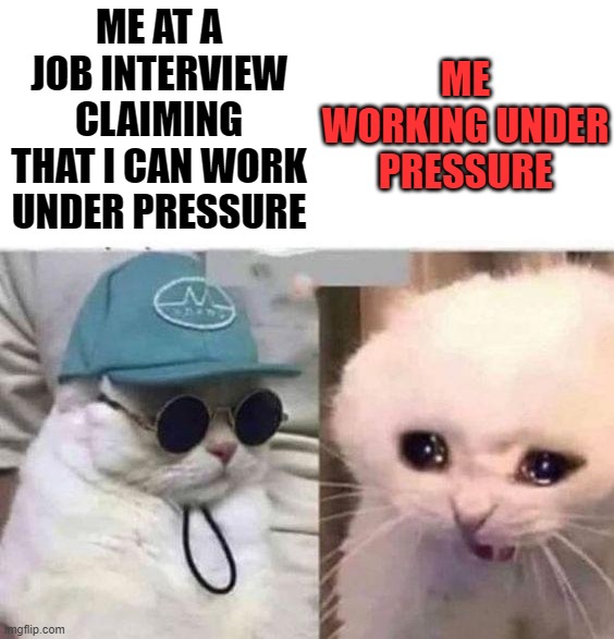 Working | ME WORKING UNDER PRESSURE; ME AT A JOB INTERVIEW CLAIMING THAT I CAN WORK UNDER PRESSURE | image tagged in how i react under pressure | made w/ Imgflip meme maker