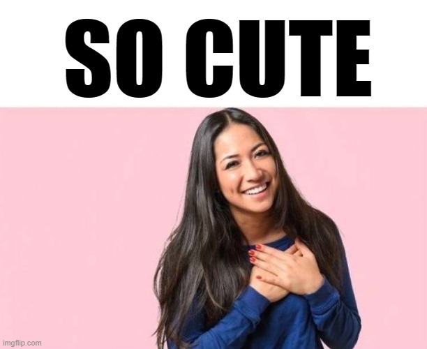 so cute | SO CUTE | image tagged in so cute | made w/ Imgflip meme maker