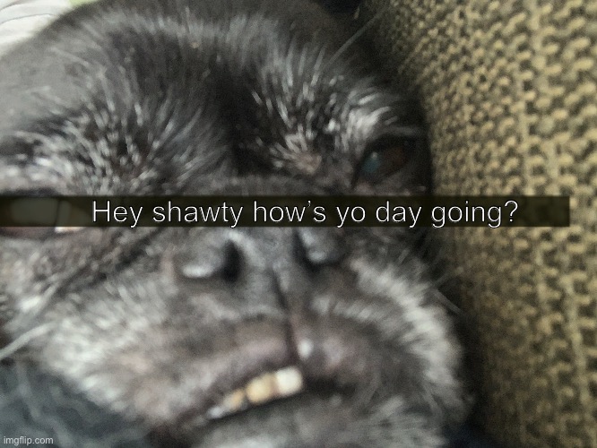 Hey shawty how’s yo day going? | made w/ Imgflip meme maker