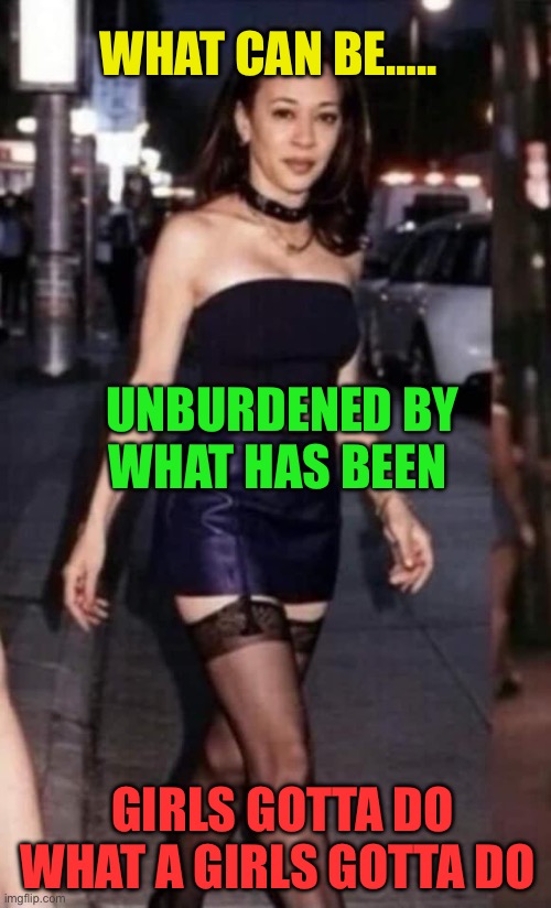 Qualifications matter | WHAT CAN BE….. UNBURDENED BY WHAT HAS BEEN; GIRLS GOTTA DO WHAT A GIRLS GOTTA DO | image tagged in kamie ho,democrats,kamala harris,radical,incompetence | made w/ Imgflip meme maker