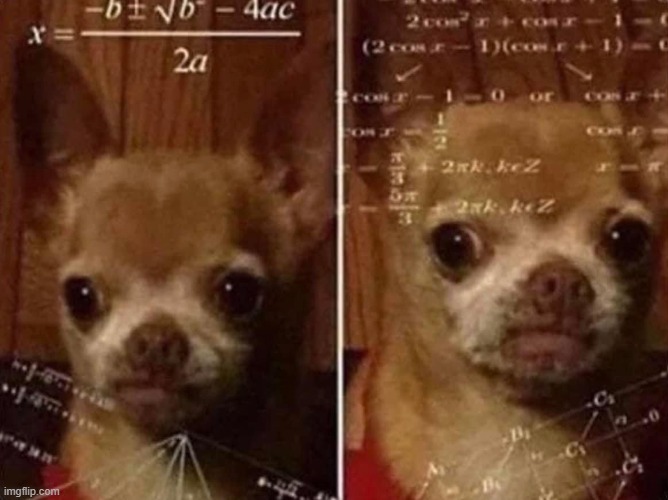 Dog math | image tagged in dog math | made w/ Imgflip meme maker