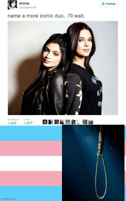 Tw: For those who don't get it, 40% of transgender people kill themselves | image tagged in name a more iconic duo,trans flag | made w/ Imgflip meme maker