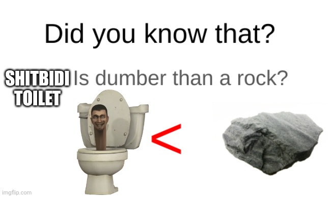 Did you know that (blank) is dumber than a rock? | SHITBIDI TOILET | image tagged in did you know that blank is dumber than a rock | made w/ Imgflip meme maker