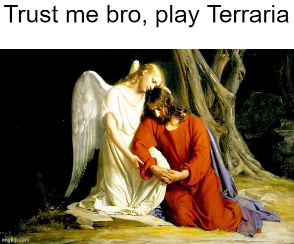 Terraria | Trust me bro, play Terraria | image tagged in funy,terraria,meme,terrorism | made w/ Imgflip meme maker