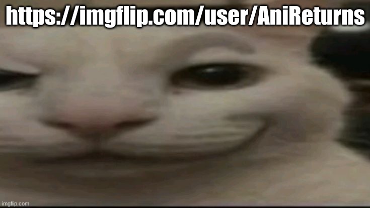 the fucker's back | https://imgflip.com/user/AniReturns | image tagged in cat | made w/ Imgflip meme maker