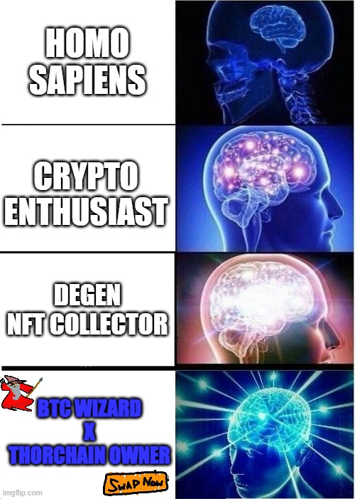 Bitcoin Wizards x Thorchain | HOMO SAPIENS; CRYPTO ENTHUSIAST; DEGEN NFT COLLECTOR; BTC WIZARD X THORCHAIN OWNER | image tagged in memes,expanding brain,wizards,bitcoin,nft,web3 | made w/ Imgflip meme maker