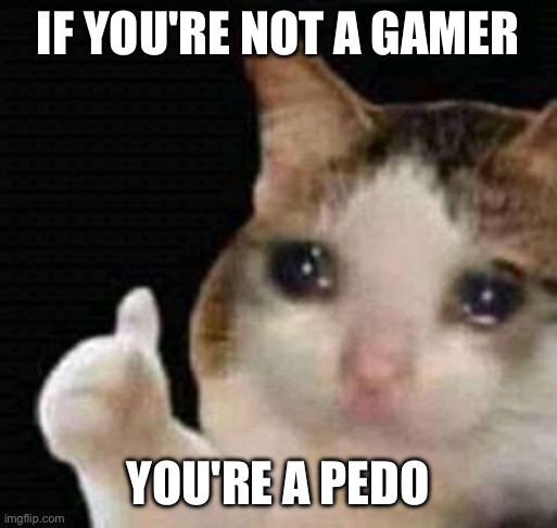 This was a "I have no brain" meme I decided to make | IF YOU'RE NOT A GAMER; YOU'RE A PEDO | image tagged in sad thumbs up cat | made w/ Imgflip meme maker