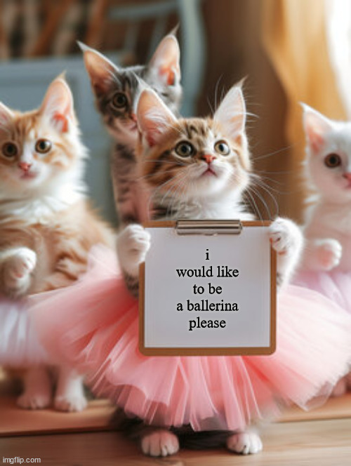 Cute Cat | i would like to be a ballerina please | image tagged in cat | made w/ Imgflip meme maker