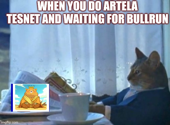 Mene | WHEN YOU DO ARTELA TESNET AND WAITING FOR BULLRUN | image tagged in memes,i should buy a boat cat | made w/ Imgflip meme maker