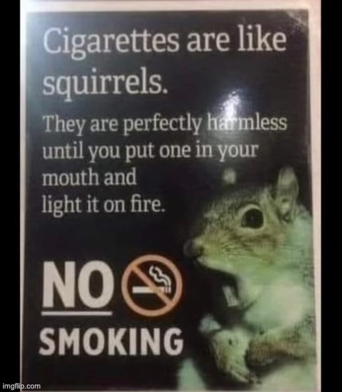 Best smoking campaign ever! | image tagged in memes,funny,animals,do not smoke,dark,owu | made w/ Imgflip meme maker