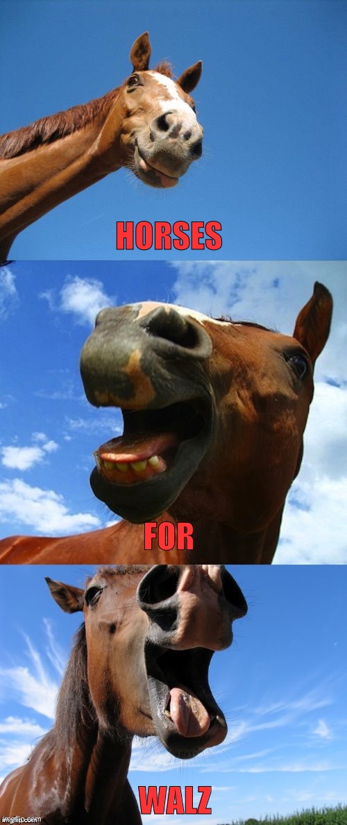 Horses for Walz | HORSES; FOR; WALZ | image tagged in just horsing around,for walz | made w/ Imgflip meme maker