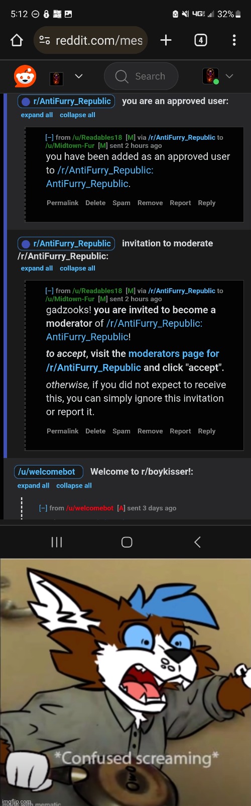 The Subreddit Owner Sent Me A Message And Everything. What Do I Do? | image tagged in confused furry screaming,anti furry,reddit,moderators,funny,confused | made w/ Imgflip meme maker