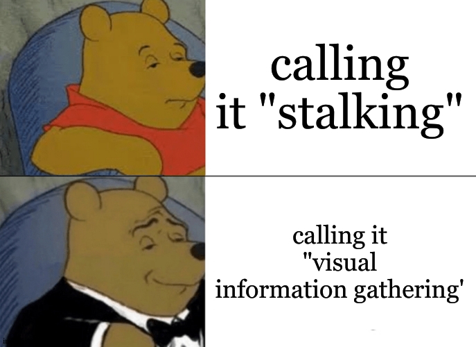 why am i like this | calling it "stalking"; calling it "visual information gathering' | image tagged in memes,tuxedo winnie the pooh | made w/ Imgflip meme maker