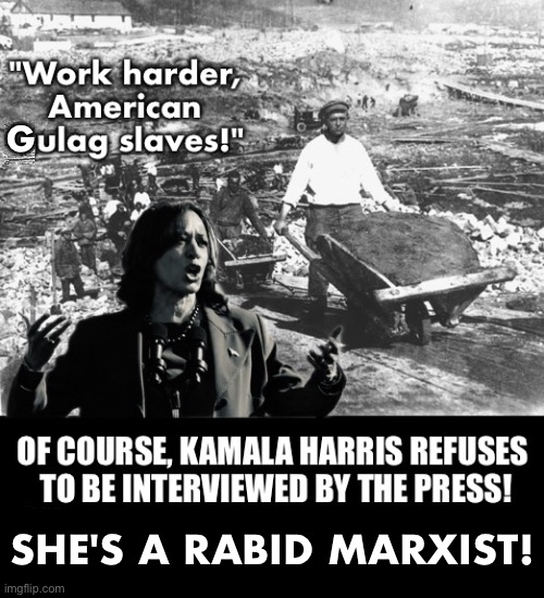 KAMALA HARRIS IS NOTHING MORE THAN A RABID MARXIST! | G; SHE'S A RABID MARXIST! | image tagged in kamala harris,communist,democrat party,marxism,presidential election,traitor | made w/ Imgflip meme maker