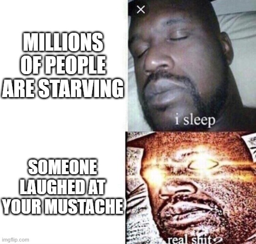 Stalin in a nutshell | MILLIONS OF PEOPLE ARE STARVING; SOMEONE LAUGHED AT YOUR MUSTACHE | image tagged in i sleep real shit | made w/ Imgflip meme maker