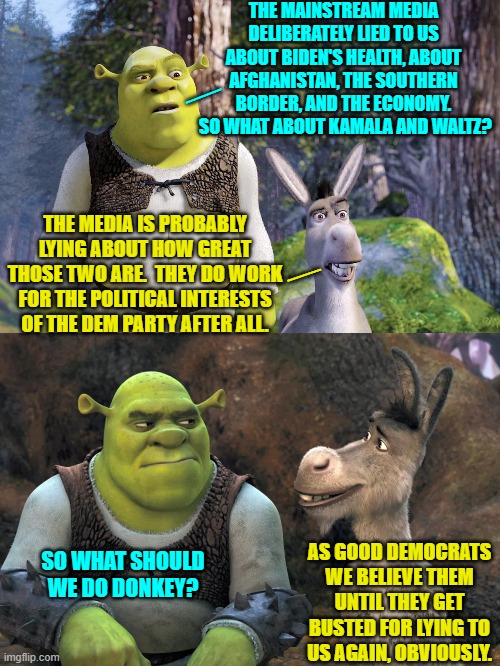 Dem Party voter's 'logic'. | THE MAINSTREAM MEDIA DELIBERATELY LIED TO US ABOUT BIDEN'S HEALTH, ABOUT AFGHANISTAN, THE SOUTHERN BORDER, AND THE ECONOMY.  SO WHAT ABOUT KAMALA AND WALTZ? __; THE MEDIA IS PROBABLY LYING ABOUT HOW GREAT THOSE TWO ARE.  THEY DO WORK FOR THE POLITICAL INTERESTS OF THE DEM PARTY AFTER ALL. __; SO WHAT SHOULD WE DO DONKEY? AS GOOD DEMOCRATS WE BELIEVE THEM UNTIL THEY GET BUSTED FOR LYING TO US AGAIN, OBVIOUSLY. | image tagged in yep | made w/ Imgflip meme maker