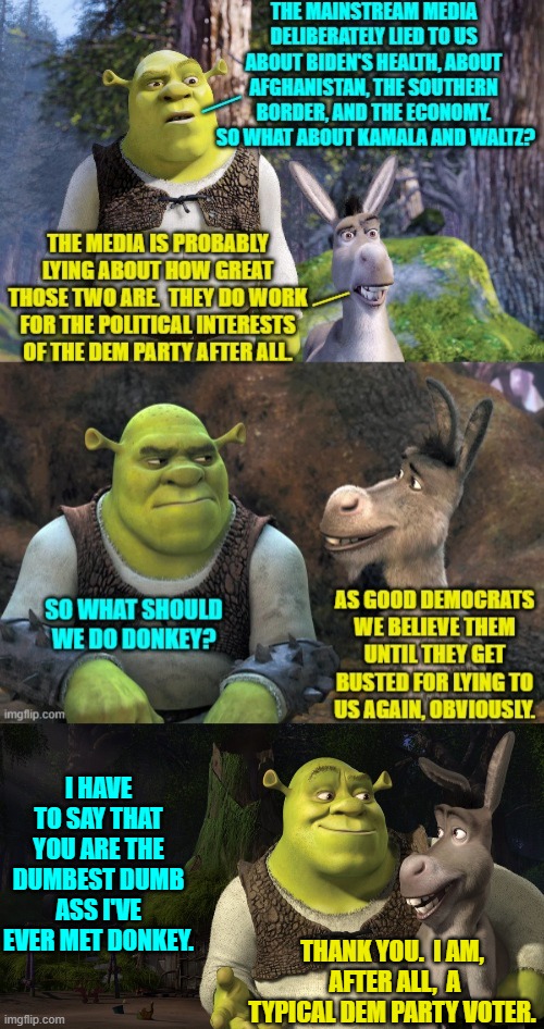 It all makes sense now, doesn't it? | I HAVE TO SAY THAT YOU ARE THE DUMBEST DUMB ASS I'VE EVER MET DONKEY. THANK YOU.  I AM,  AFTER ALL,  A TYPICAL DEM PARTY VOTER. | image tagged in yep | made w/ Imgflip meme maker