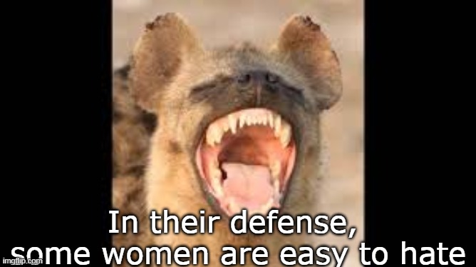 In their defense, 
some women are easy to hate | made w/ Imgflip meme maker