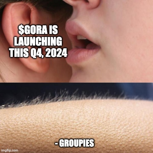 $GORA | $GORA IS LAUNCHING THIS Q4, 2024; - GROUPIES | image tagged in whisper and goosebumps | made w/ Imgflip meme maker