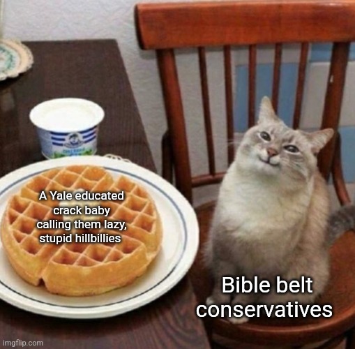 Dignity is free, conservatives should find some | A Yale educated crack baby calling them lazy, stupid hillbillies; Bible belt conservatives | image tagged in cat likes their waffle,scumbag republicans,terrorists,trailer trash,jeffrey epstein | made w/ Imgflip meme maker